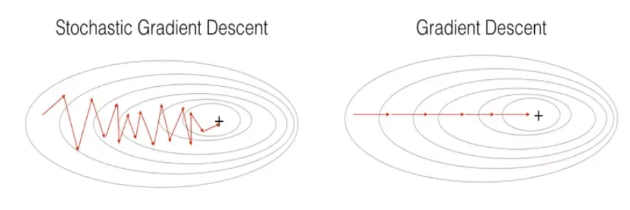 Comparison of Gradient Descent (GD) and Stochastic Gradient Descent (SGD) paths